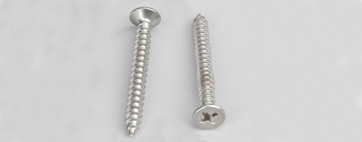 China Stainless Steel 304 Self Tapping Screw D3.5*d2.5*h7.0L20