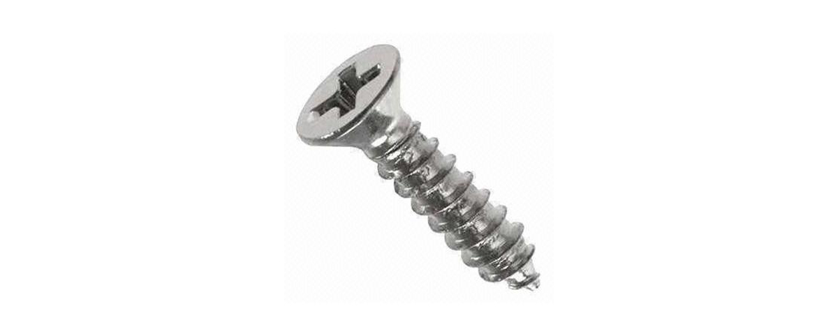 China Stainless Steel 304 Self Tapping Screw D3.0*d2.0*h5.3L15.5