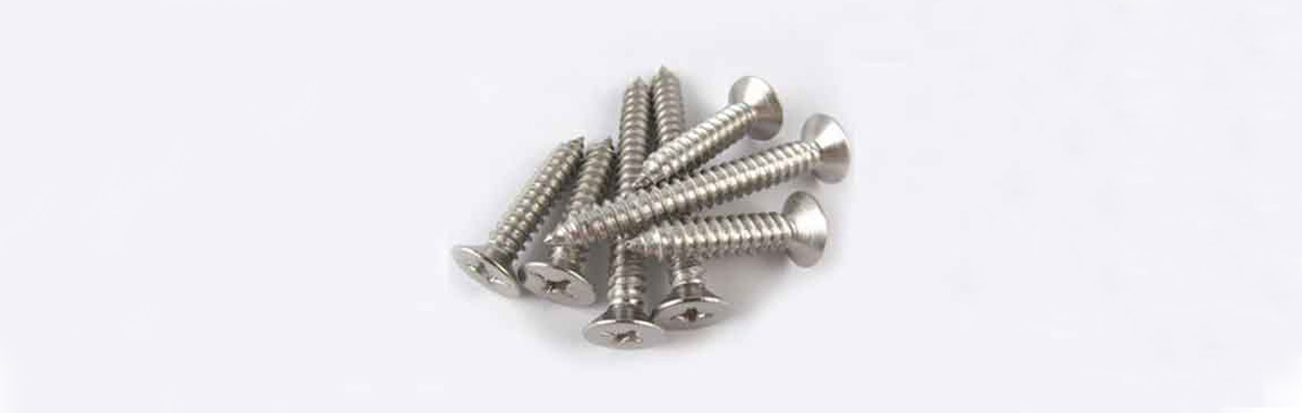 Stainless Steel 304 Self Tapping Screw D4.0*d3.0*h8.0L50