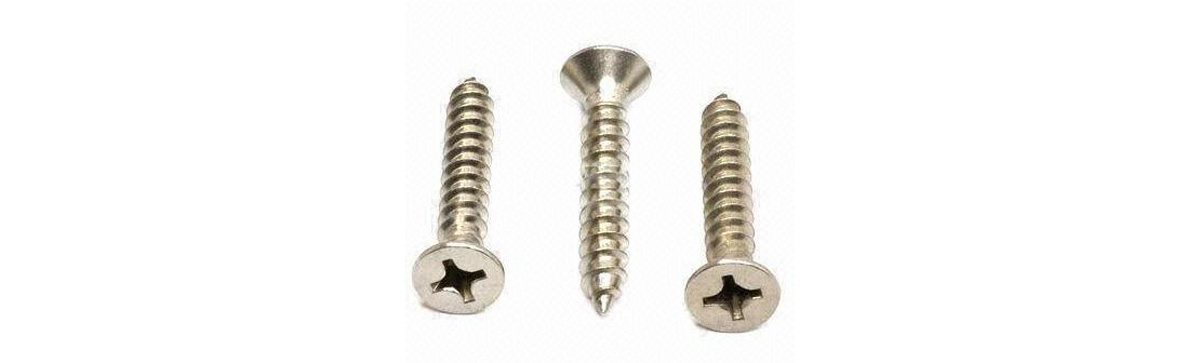 Stainless Steel 304 Self Tapping Screw D4.0*d3.0*h8.0L37