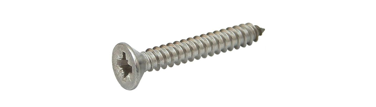 Stainless Steel 304 Self Tapping Screw D4.0*d3.0*h8.0L30