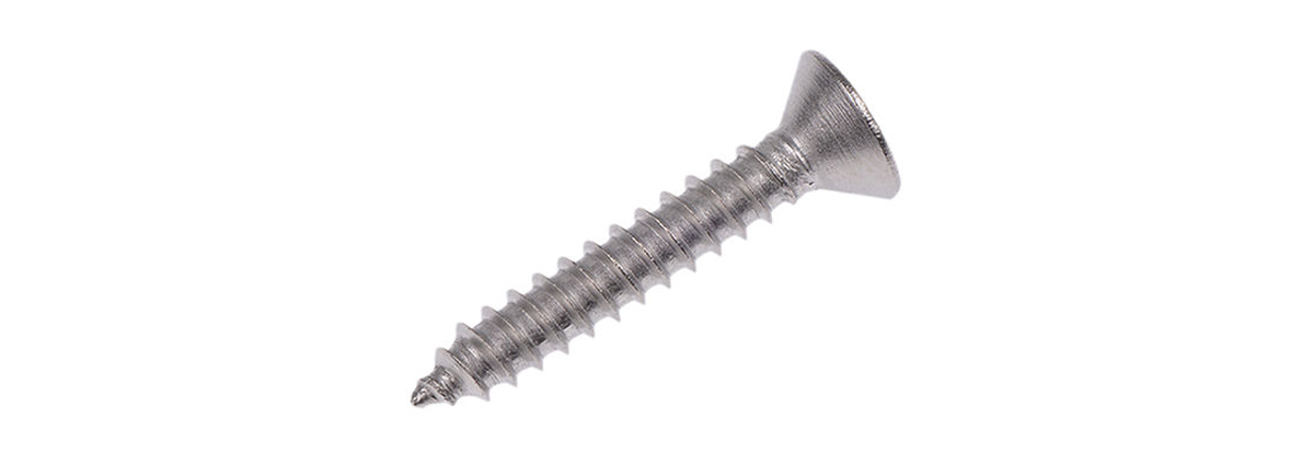 Stainless Steel 304 Self Tapping Screw D4.0*d3.0*h8.0L25