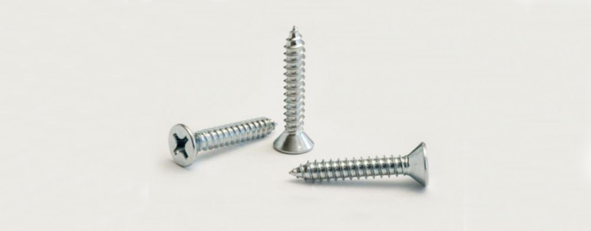Stainless Steel 304 Self Tapping Screw D3.5*d2.5*h7.0L25