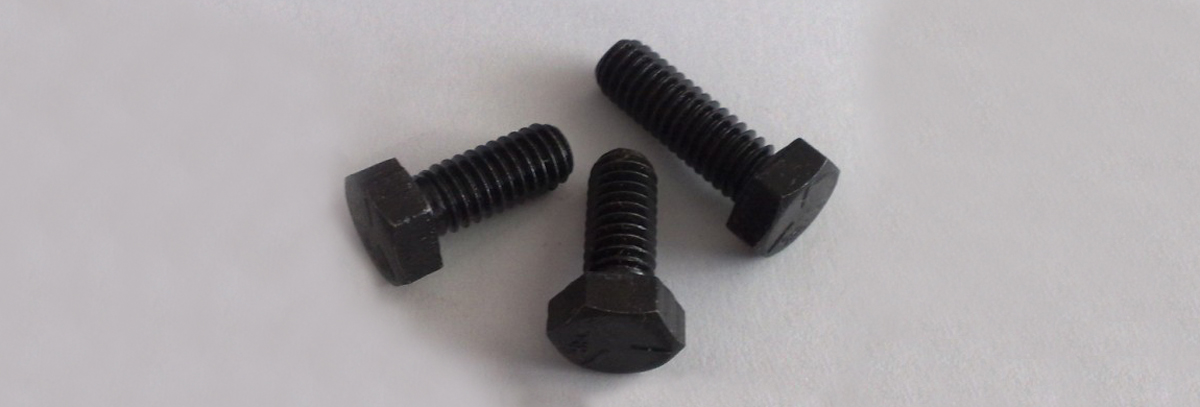 Bolts Mild Steel Black Hex Head With Hex Nuts, 10mmX50mm