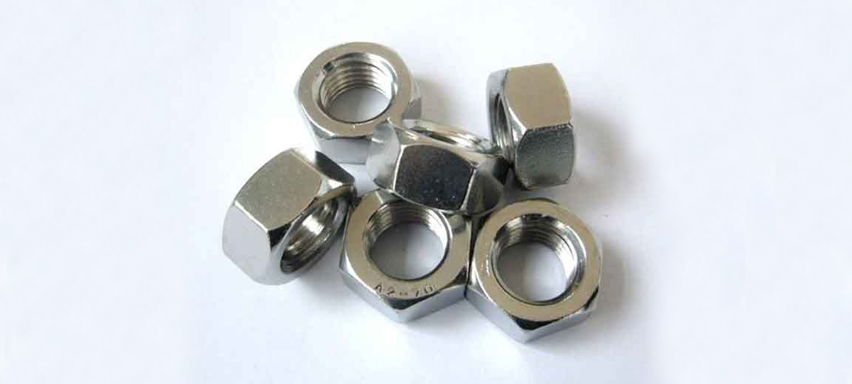 Stainless Steel 304 Din934 M10