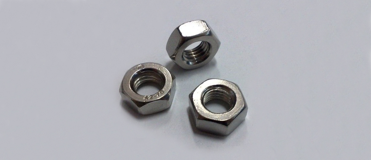 Stainless Steel 304 Din934 M12