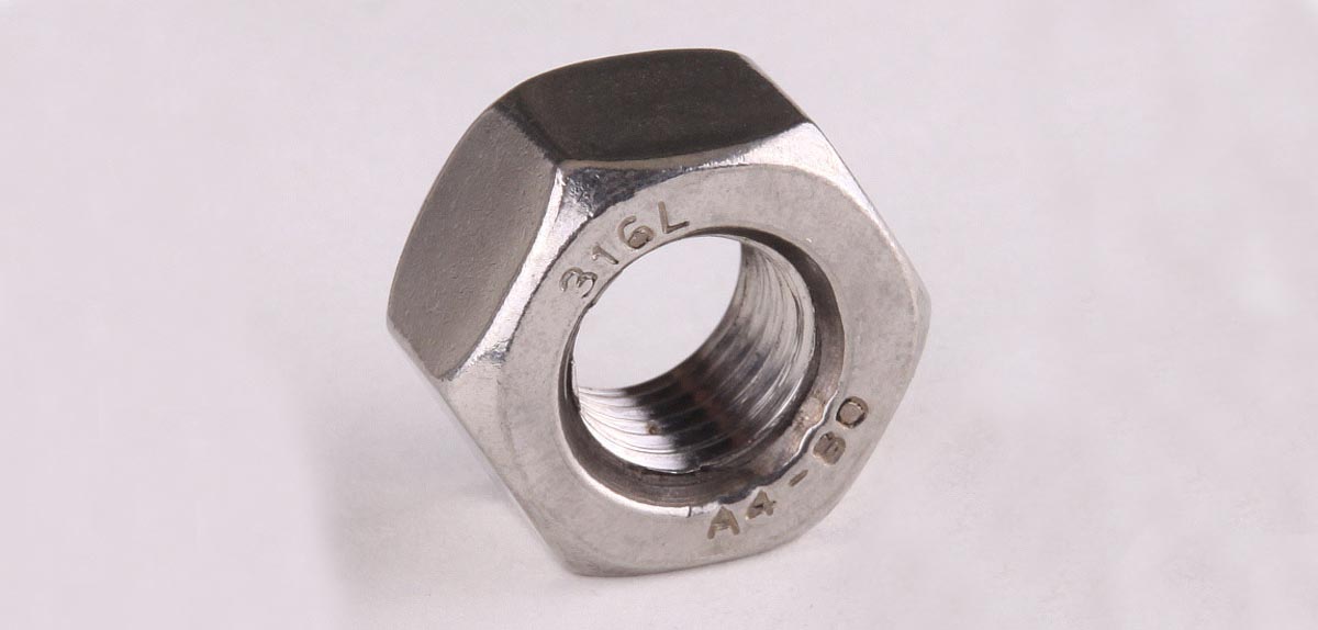 China Stainless Steel 316 Din934 M10