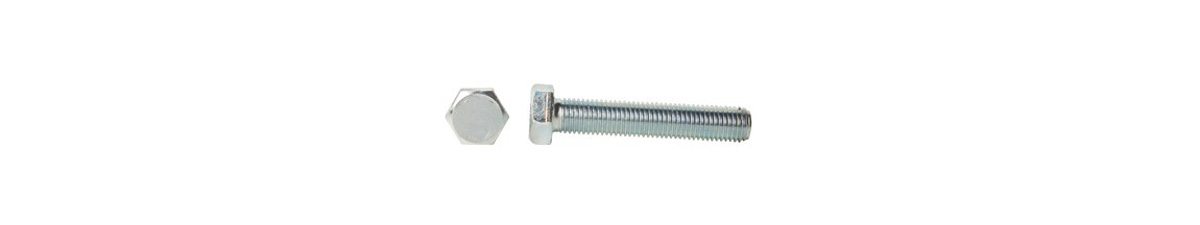 China Zinc Plated Galvanized Bolts DIN 933, M24x100