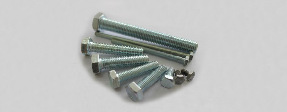 China Zinc Plated Galvanized Hexagon Head Bolts DIN 933, M10x25