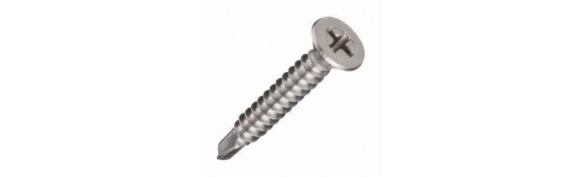 China SS304 Self-Drilling Screws 10 x 20mm
