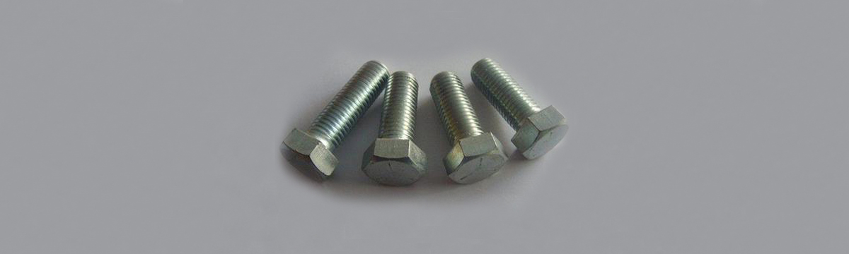 Zinc Plated Galvanized Carbon Steel Hex Bolts M10X70