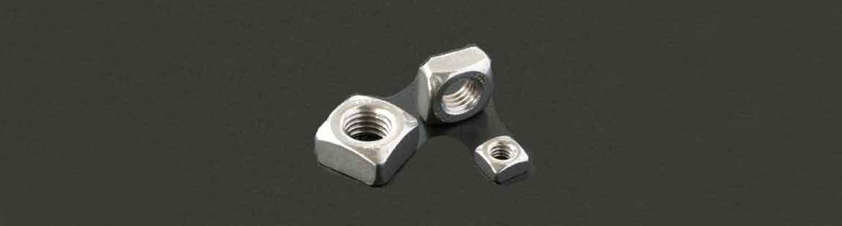 China Square Nuts 20x20x4mm With M10 Threated Hole RVS/A2/304