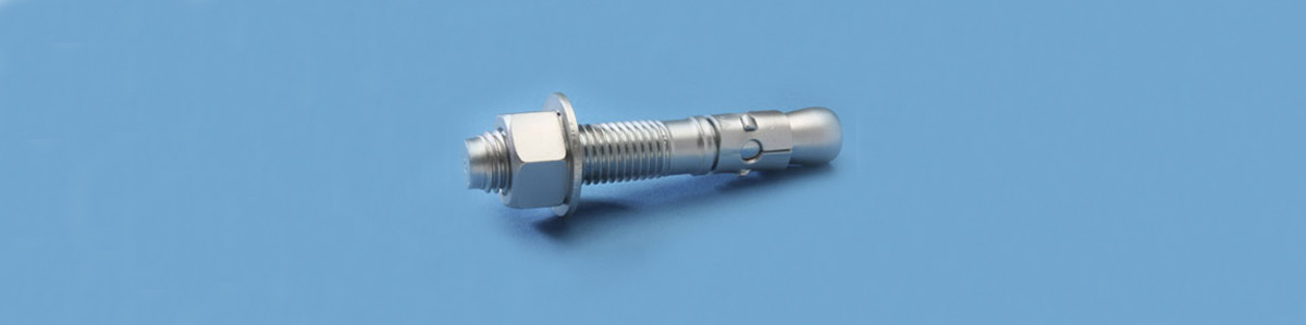 China Zinc Plated Galvanized Carbon Steel Wedge Anchor Assembly M16X240