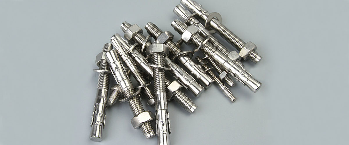 China Stainless Steel Wedge Anchor Assembly M12X110