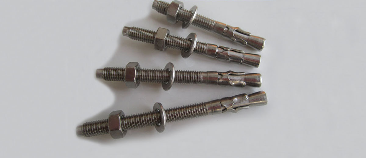 Stainless Steel Wedge Anchor Assembly M8X120
