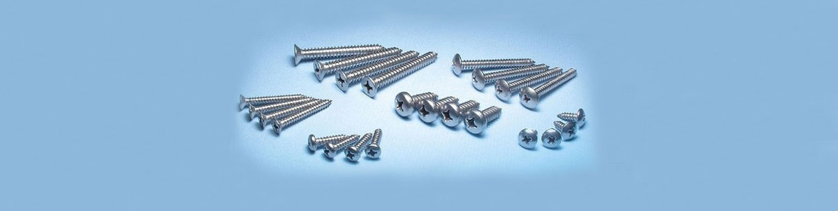 Stainless Steel Self Tapping Screws, M6X10mm