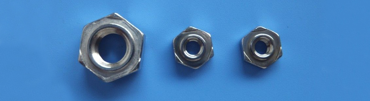 Hex Weld Nuts, China Stainless Steel DIN929 M10