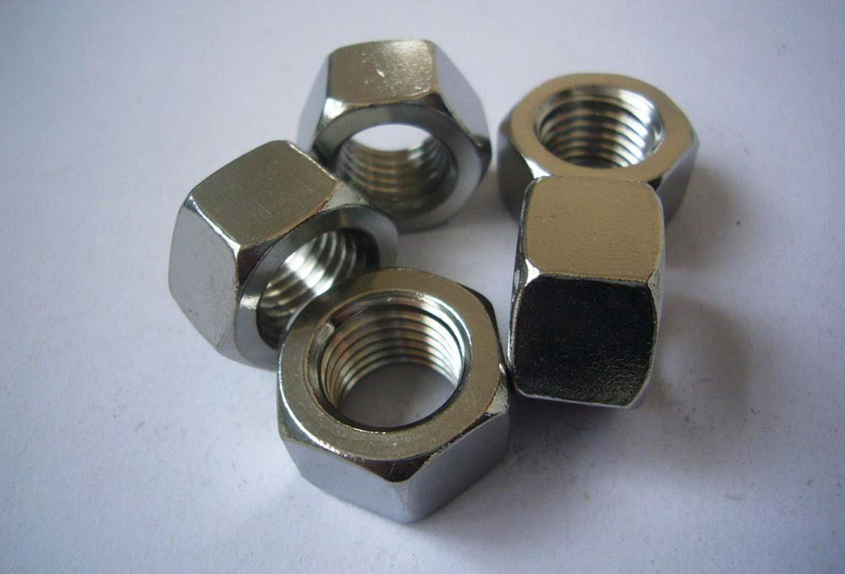 Stainless Steel Hex Nuts M20