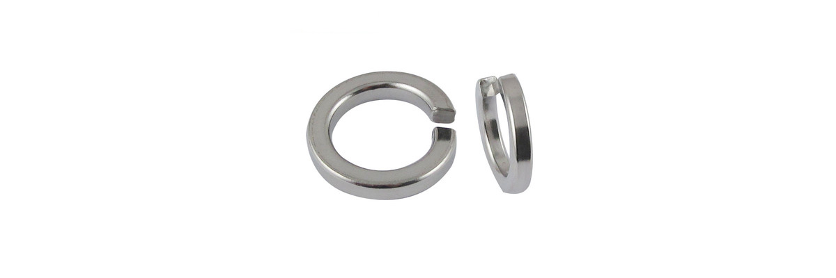 Stainless Steel Spring Washers M20