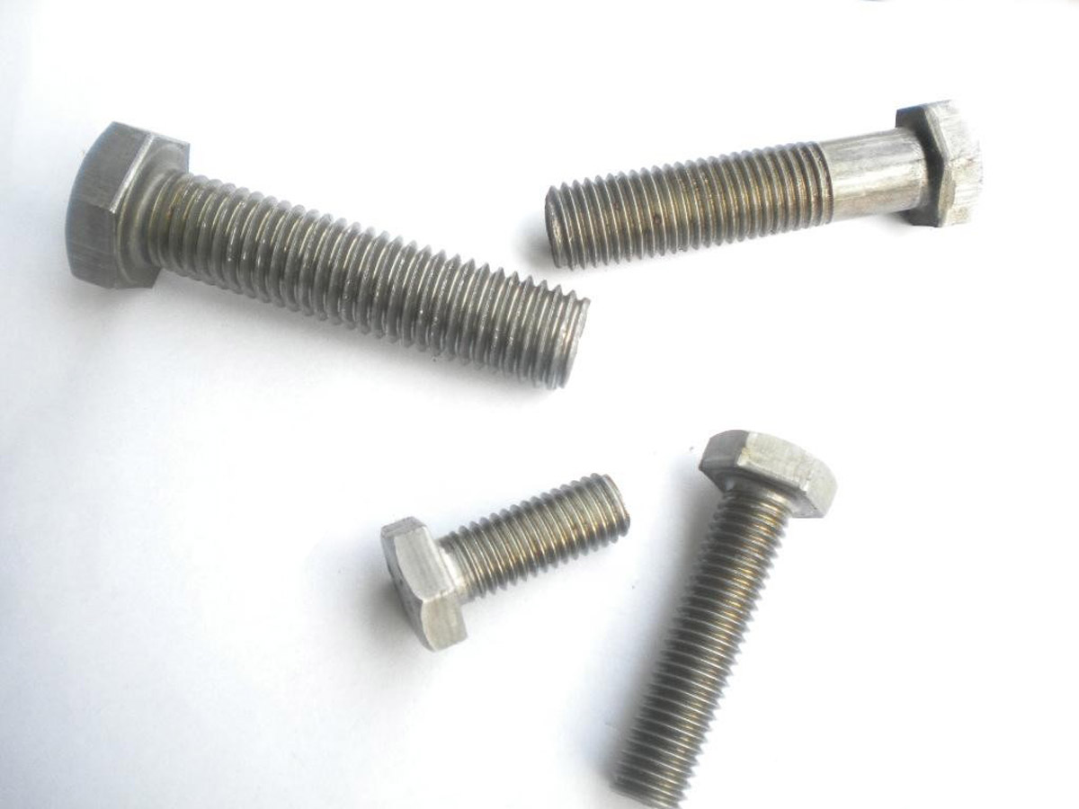 Stainless Steel Hex Bolts M10X20