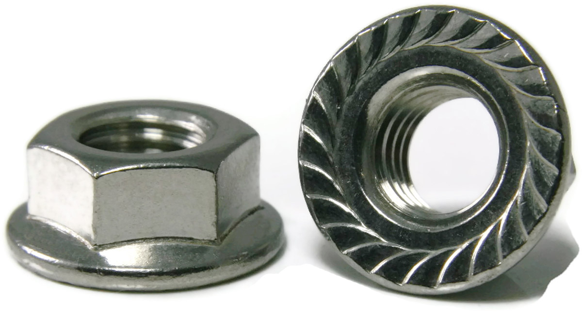 304 Stainless Hex Flange Nut