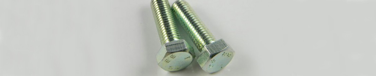 DIN 933 Hex Bolts M10X45