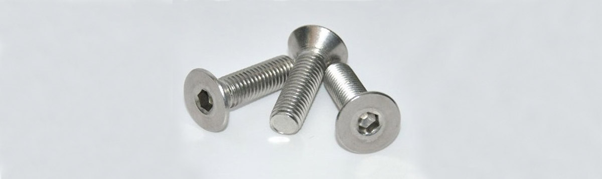 Hex Countersunk Screw M10x45