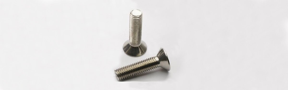 Socket Hex Cap Screw M10x30
