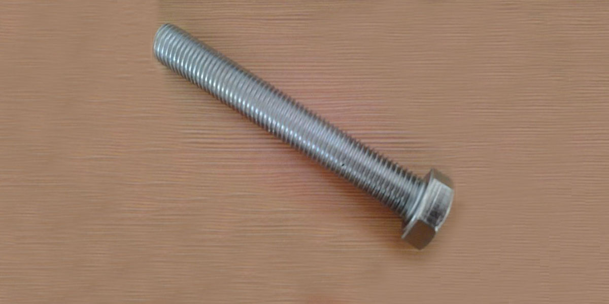 Galvanized Steel Bolt With Nut M10X40mm