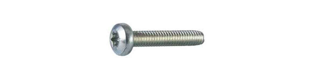 Thread-Forming Raised Cheese Head Screws Din 7500 C TORX, 3 x 10
