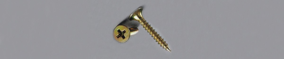 Drywall Screw, Bugle Head Phillip Drive 2.5 x 10mm