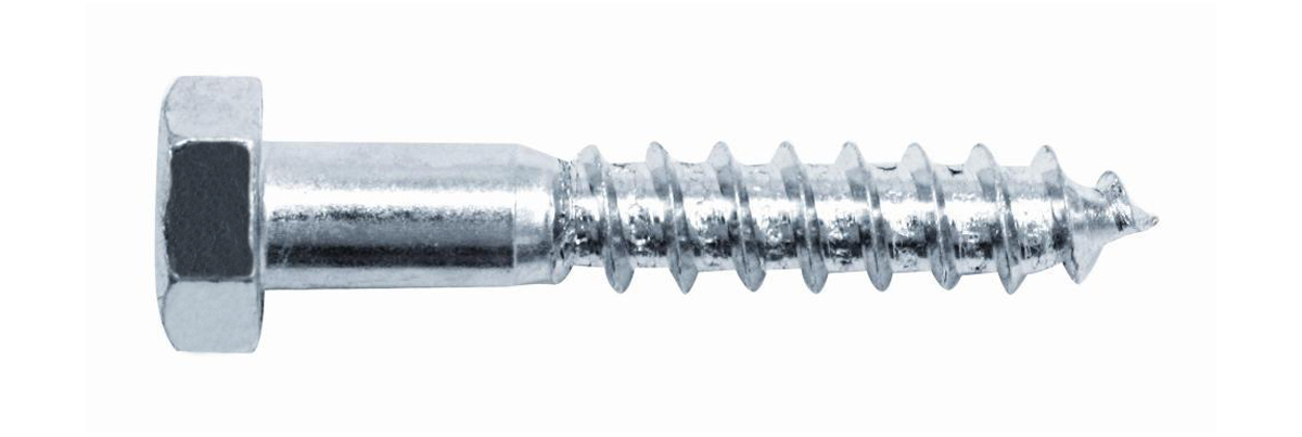 Coach Screws, Carbon Steel M12 x 100mm