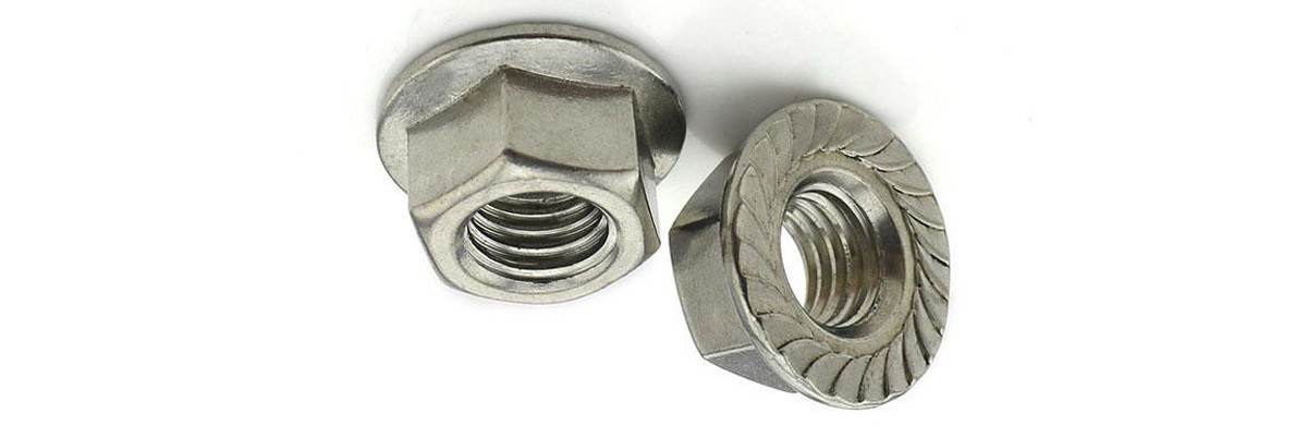 Flange Nuts, Stainless Steel 304 M6