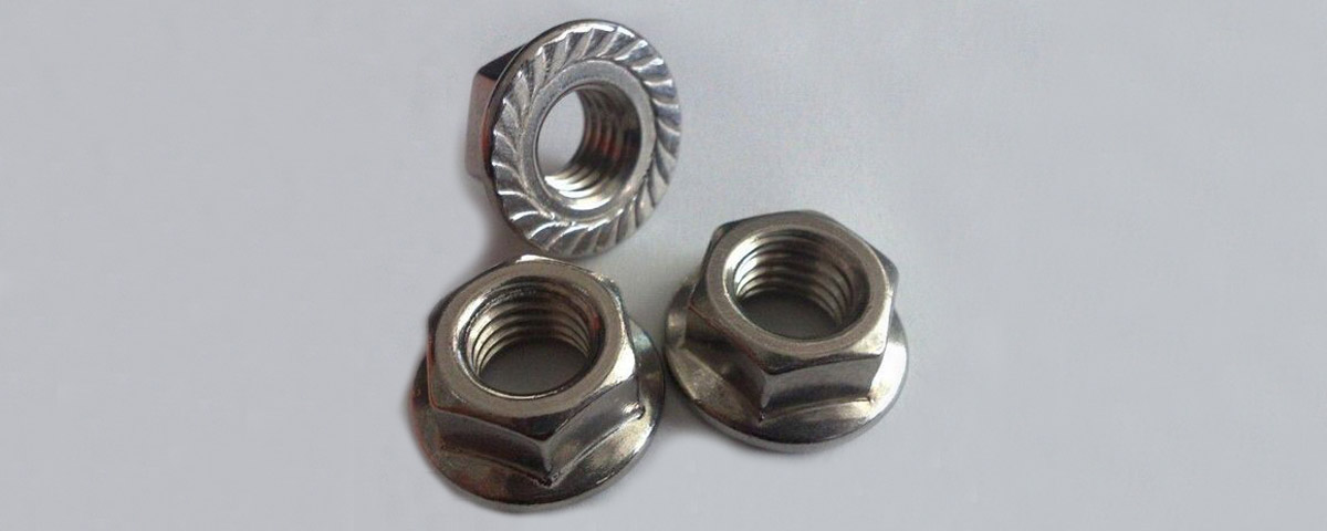 Flange Nuts, Stainless Steel M8