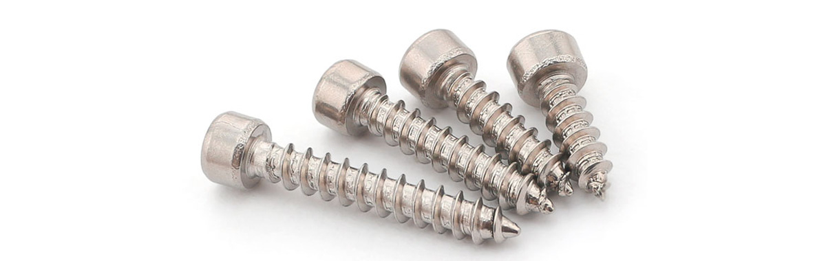 Socket Head Cap Screw, Stainless Steel 6.3x30mm