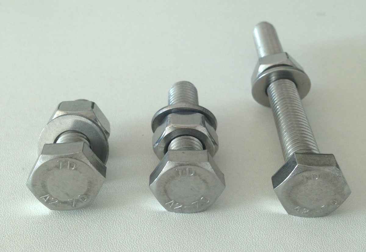 Hex Bolts, Stainless Steel 304 Hex Bolts Assembly M20x70mm