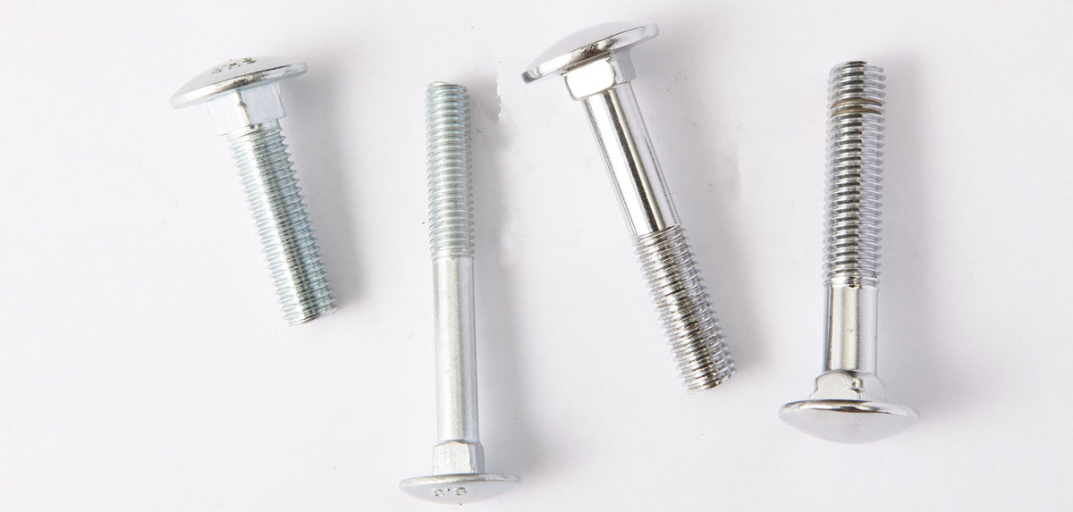 Stainless Steel Round Head Square Neck Carriage Bolt 
