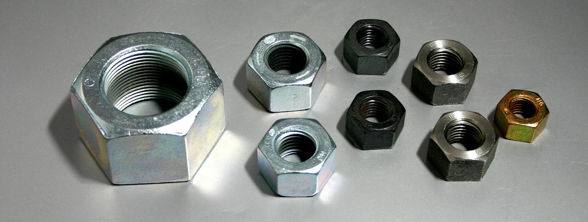 Hex Nut