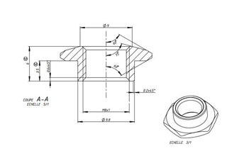 Swaziland Plastic Nut in PC / ABS / Nylon, M8