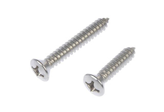 China Stainless Steel 304 Self Tapping Screw D3.5*d2.5*h7.5L29