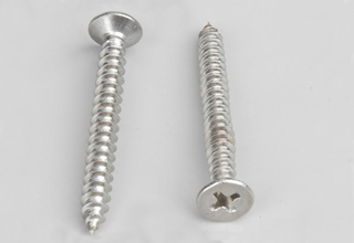 China Stainless Steel 304 Self Tapping Screw D3.5*d2.5*h7.0L20
