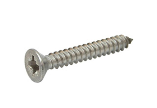 Stainless Steel 304 Self Tapping Screw D4.0*d3.0*h8.0L30