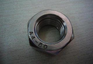 Stainless Steel 316 Din934 M6