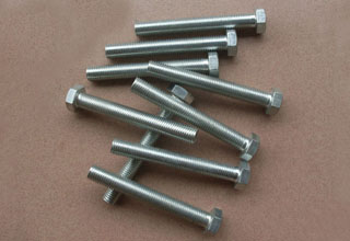 China Zinc Plated Galvanized Hexagon Head Bolts DIN 933, M10x55
