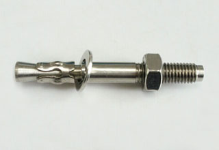 China Stainless Steel Wedge Anchor Assembly M8X120