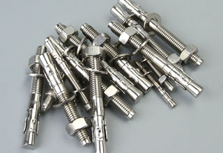 Stainless Steel Wedge Anchor Assembly M12X110