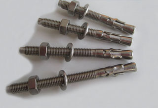 China Stainless Steel Wedge Anchor Assembly M8X120