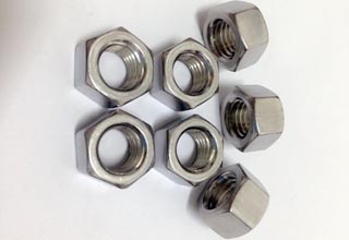 Stainless Steel Hex Nuts M10
