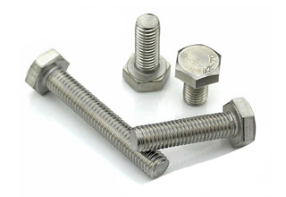 Stainless Steel Hex Bolts M10X16