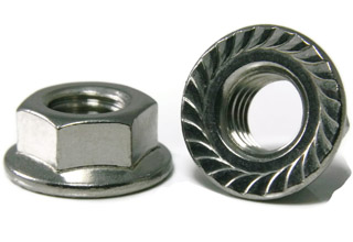 304 Stainless Hex Flange Nut